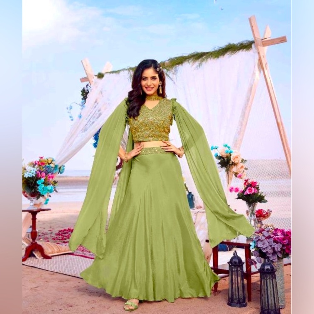 Indian Pakistani Crop Top and Lehenga